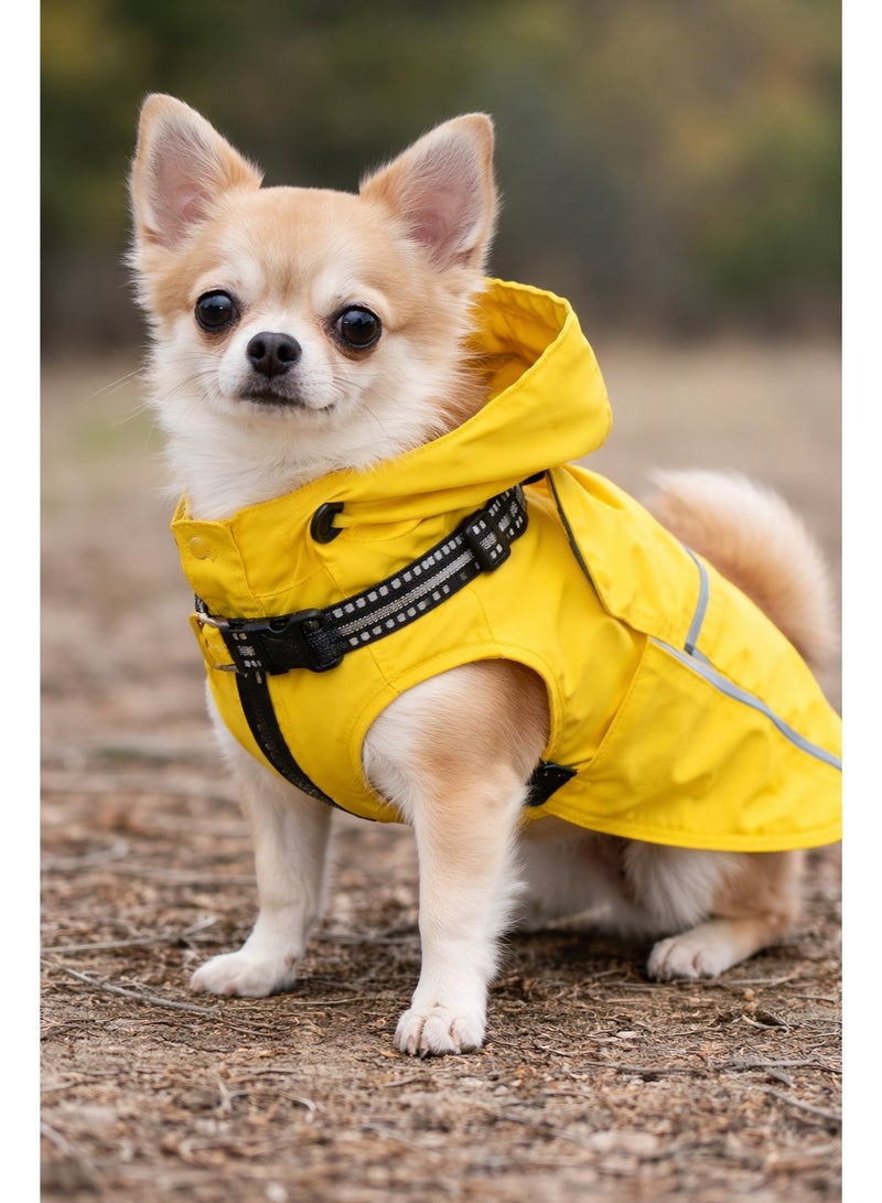 Waterproof Pet Jacket, XS Size, for Small Breeds up to 2.5kg, Reflective Trim - Image 1